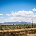 ZAF WC CW Paarl 2016NOV17 SpiceRoute 003 : 2016, 2016 - African Adventures, Africa, November, South Africa, Southern, Western Cape, Paarl, Cape Winelands, Spice Route